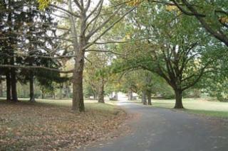 Hackett's Park Opens in new window